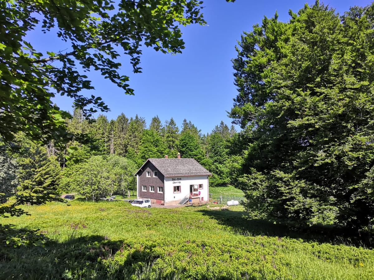 Our Hut in the Vosges